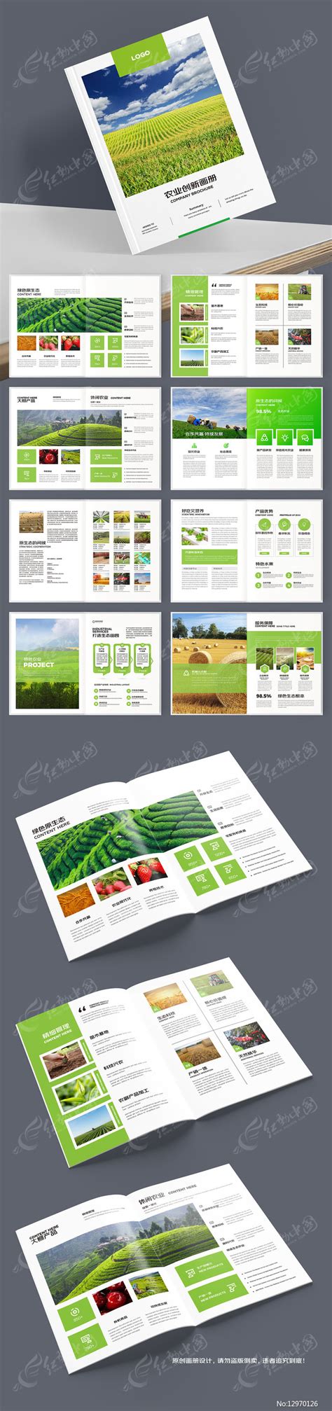 绿色农产品画册图片_画册_编号13024214_红动中国