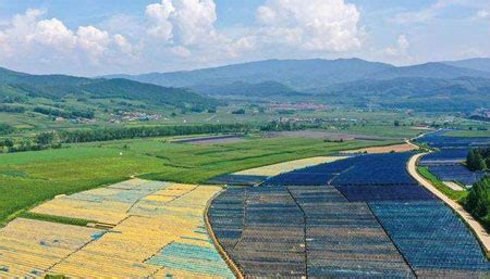 中国三农行业前景探析：三农行业的出路在哪？