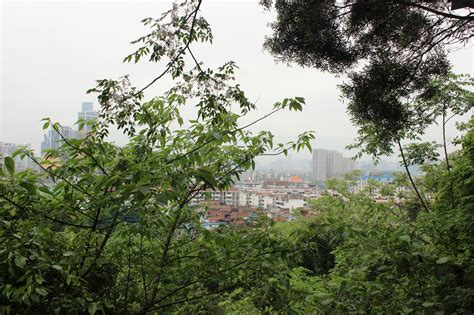 立鱼峰风景区-柳州鱼峰区立鱼峰风景区旅游指南[组图]