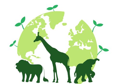 国际生物多样性日 | 保护生物多样性，邀您一起参与！