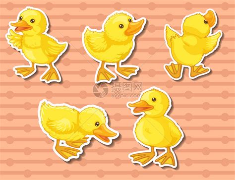五只小鸭的不同动作插画图片下载-正版图片402259349-摄图网