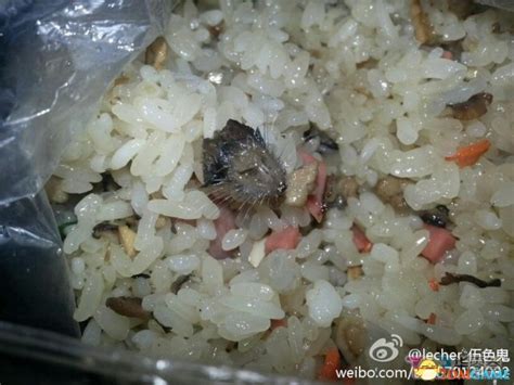 江西一高校食堂饭菜疑吃出老鼠头 员工表示是鸭肉|江西省|高校食堂_新浪新闻