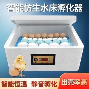 小型孵化机36枚全自动家用智能孵化器 16枚小型孵蛋器滚轴孵化箱-阿里巴巴