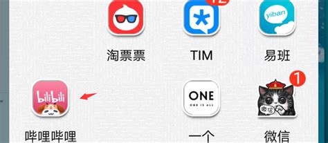 bilibili下载app_bilibili下载安装v7.67.0-麦块安卓网