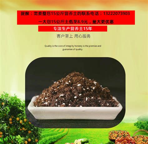广东园林绿化种菜种花苗木通用型基质批发花土泥炭土种植土营养土-阿里巴巴