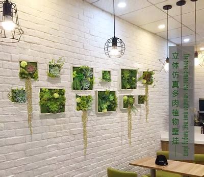 “迷幻森林”咖啡&绿植店|空间|展陈设计|Ashlee79 - 原创作品 - 站酷 (ZCOOL)