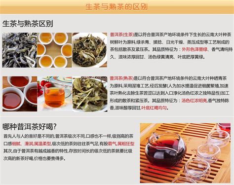 菊花普洱熟茶 - 花草系列 - 东莞市大益茶业科技有限公司官网