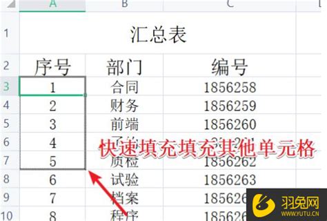 Excel表格自动排序123的方法及案例分析-羽兔网