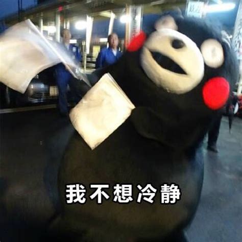 熊本熊表情包图片
