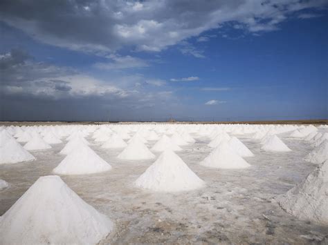 数据说话：生态海盐以最丰富的人体所需微量元素，获盐中之冠！_深圳新闻网
