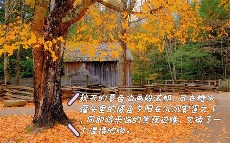 【诗词鉴赏】秋分时节，愿你依旧热爱生活，愿你在金秋收获硕果！