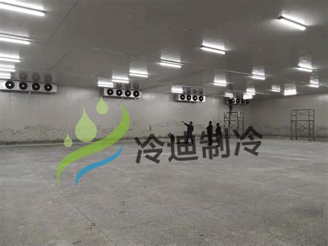 建一个100平米-18℃低温冷冻库要多少钱？_冷迪制冷