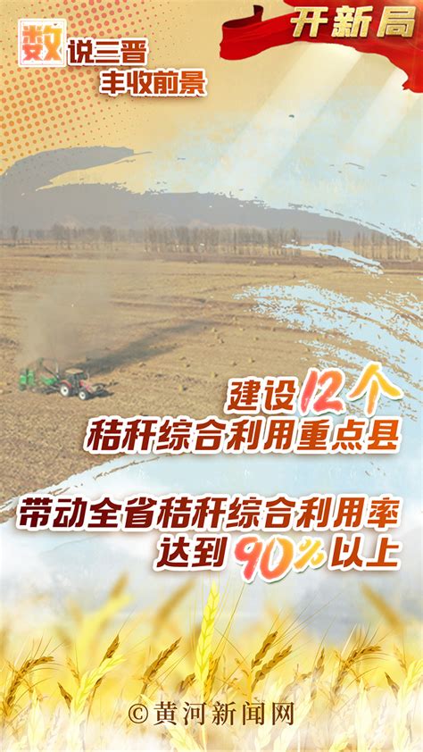 【黄河安澜】沐浴朝阳 黄河两岸丰收在即-宁夏新闻网