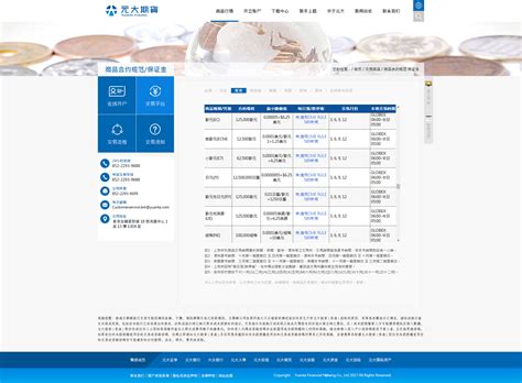 金融网站设计|香港网站设计|期货网站设计-维仆