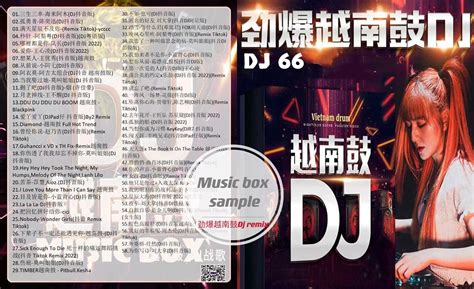 Usb Pendrive DJ Remix 劲爆越南鼓 DJ66 | Lazada