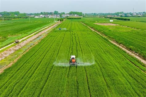 南京农业科技进步贡献率达71%以上，位居全国前列凤凰网江苏_凤凰网