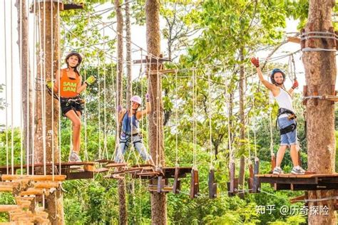 丛林飞越探险乐园：体验树上冒险的乐趣