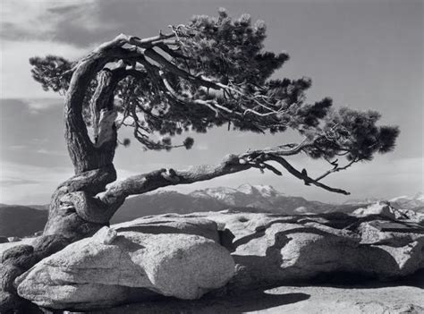 摄影师安塞尔·亚当斯(Ansel Adams)的风光摄影作品