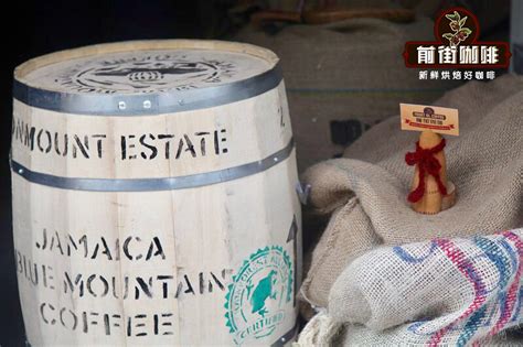 正宗蓝山咖啡豆风味口感特点描述 牙买加真蓝山一号咖啡手冲冲泡好喝吗 中国咖啡网