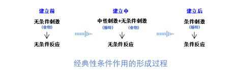 idea无法创建java文件，只能创建kotlin文件原因记录 - 楚番的个人空间 - OSCHINA - 中文开源技术交流社区
