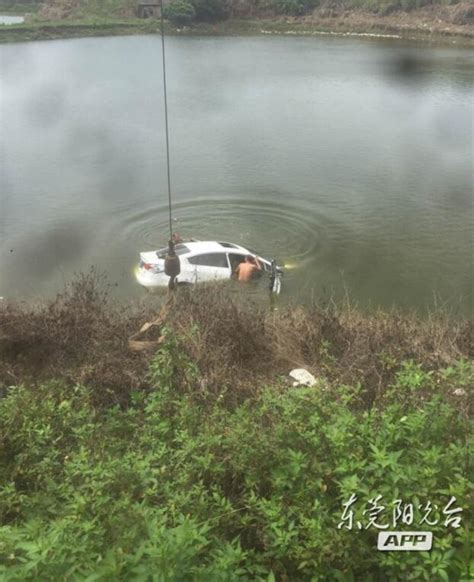 企石：小轿车车速失控飞进鱼塘后，沉入水底……_东莞阳光网