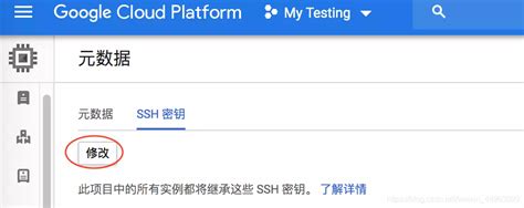 谷歌云实例如何使用 SSH 密钥登录_谷歌云ssh密钥-CSDN博客