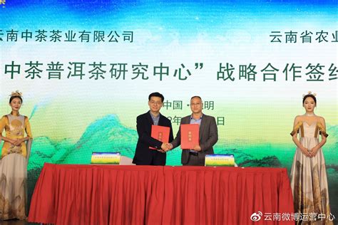 2022年中国普洱茶高质量发展高峰论坛成功召开__财经头条