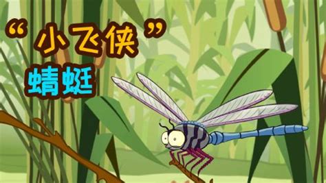 《蜻蜓侠》 | 2018最新超级英雄|3D|Animation/Film|程视视觉_Original作品-站酷ZCOOL