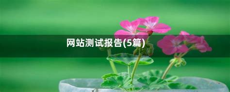 网站测试报告(5篇)