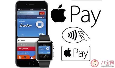 哪些机型支持Apple Pay交通卡 Apple Pay新增交通卡添加卡片使用方法 _八宝网