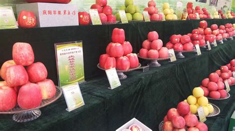 第四届中国苹果产业大会在庆阳市开幕|庆阳|庆阳市|苹果_新浪新闻