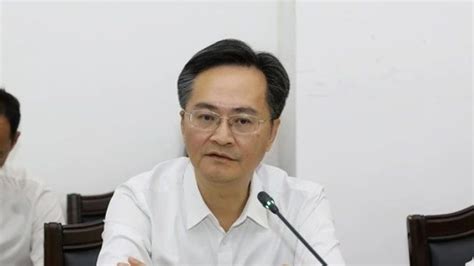 张恩亮被查，曾是全国首个70后地级市市长_手机新浪网