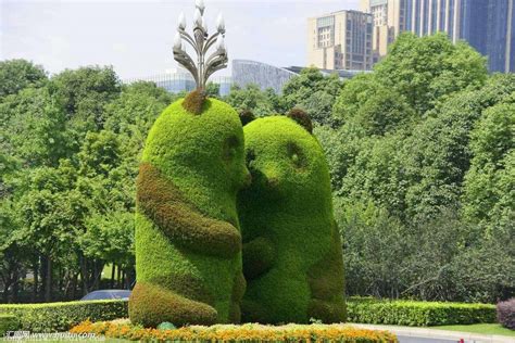 熊猫绿雕造型定制，成都特色的创意真植物景观雕塑