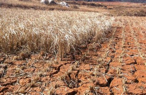 全国12省区遭遇严重干旱 部分地区已断水3个月_海口网