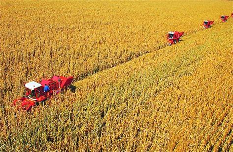 面向2035年的中国农业现代化战略