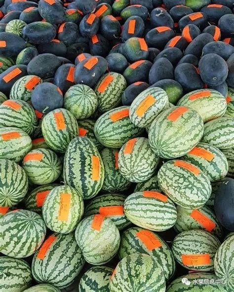 西瓜是什么季节的水果-农百科
