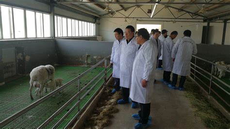 畜牧兽医专业开展2021级新生职业体验-重庆三峡职业学院动物科技学院