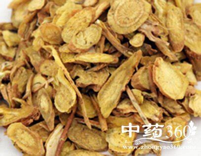 黄芩种植技术-种植技术-中国花木网
