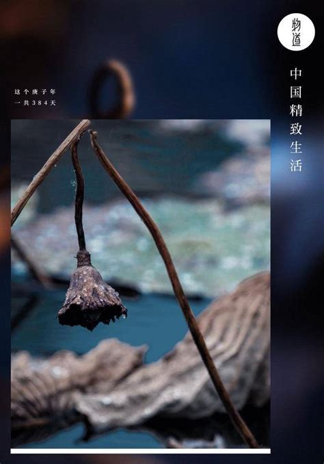 【残缺之美摄影图片】西安丰庆公园生态摄影_发现一切发现不了的色、光、影_太平洋电脑网摄影部落