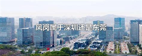 凤岗获评“2021年度中国乡村振兴十大示范村镇”