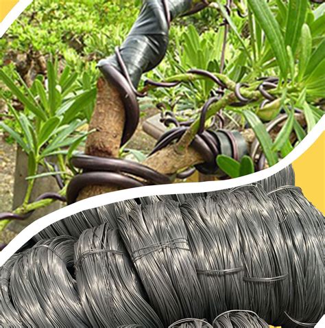 盆景铝丝铝线造型用定型蟠扎捆扎丝线专用园艺攀盘扎绑植物黑铝条-淘宝网