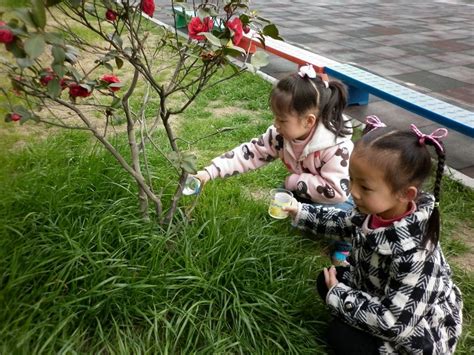 虎林市教育示范幼儿园开展“小手添新绿——快乐植树节”-鸡西教育云