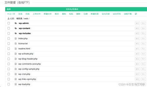 在硅云上主机搭建wordpress并使用Astra主题和avada主题_硅云域名解析教程-CSDN博客