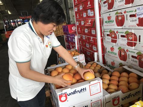 智利水果出口商协会拜访华南地区主要市场与港口，深化与进口水果供应链前沿伙伴的交流与合作 | 国际果蔬报道