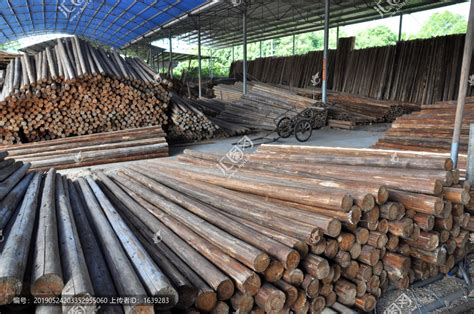 东阳木材市场,木材市场,富林木材市场_大山谷图库