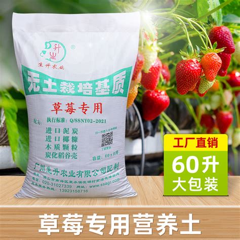 草莓施肥用什么肥料 大棚草莓施肥时间方法-种植技术-中国花木网