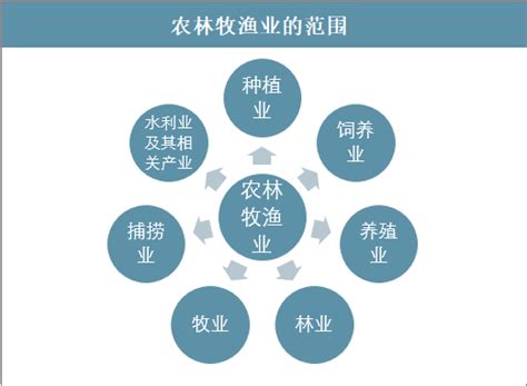 农林牧渔市场分析报告_2021-2027年中国农林牧渔市场研究与投资前景分析报告_中国产业研究报告网