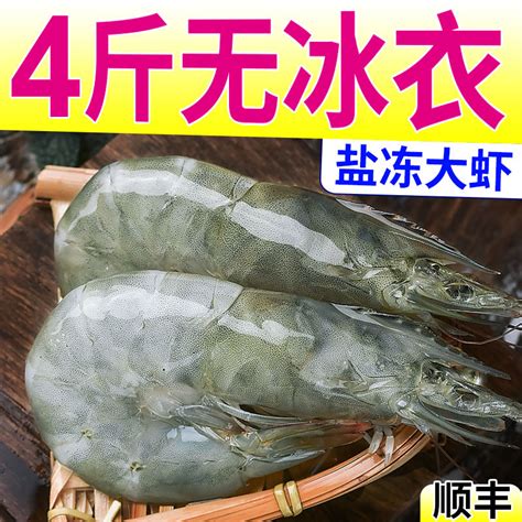这才是真正的青岛大虾，100元一只，绝对新鲜好吃！|大虾|虾|蛎虾_新浪新闻