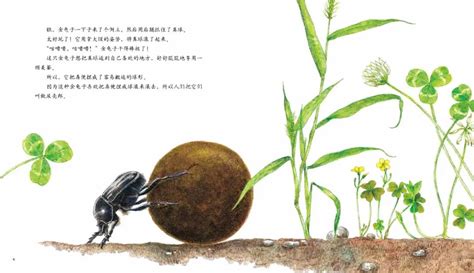 阳光细语 荒漠甘泉 走进法布尔的《昆虫记》,你就真正走进了昆虫的王国 10-12岁阅读