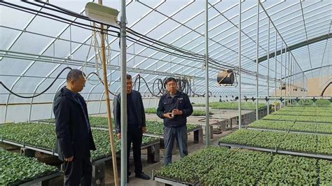 武威市人民政府 科技特派员在行动 3月15日，市农技中心科技特派员蔬菜小分队，到凉州区四坝镇、羊下坝镇开展技术指导